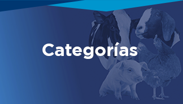 Líquidos