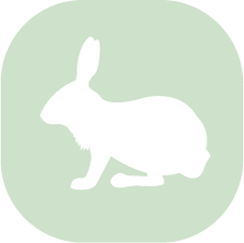 conejo